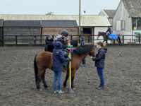 News thumbnail image: BBS Natural Stone Specialists step up again