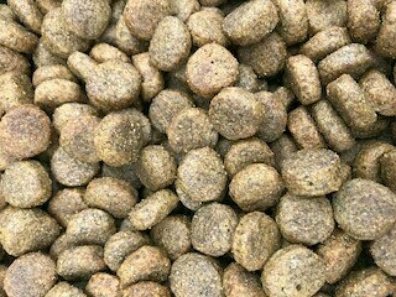 a picture of Grain-Free Chicken & Potato with Vegetables working dog food