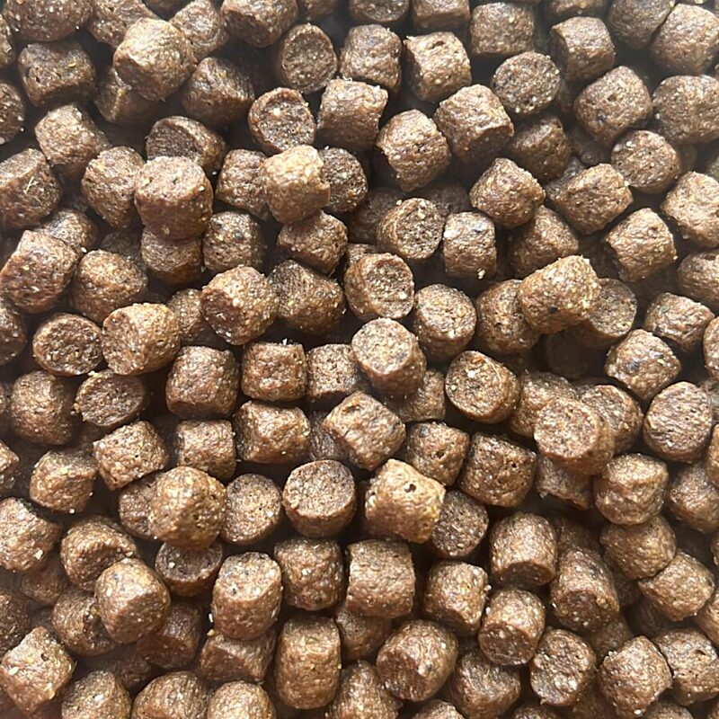 a picture of Puppy & Junior working dog food