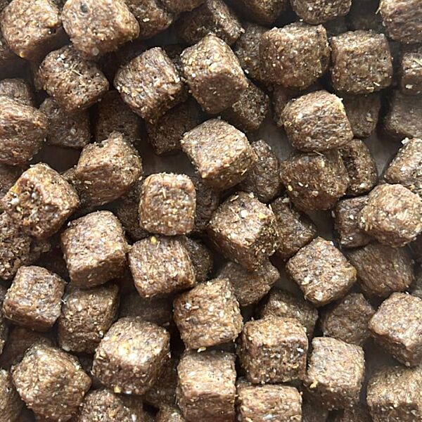 a photo of Active & Growth dog food