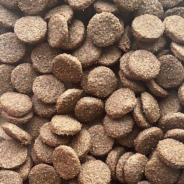 a photo of Country Dog dog food