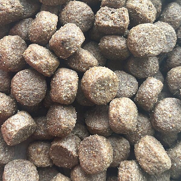 a photo of Meaty Crunch dog food