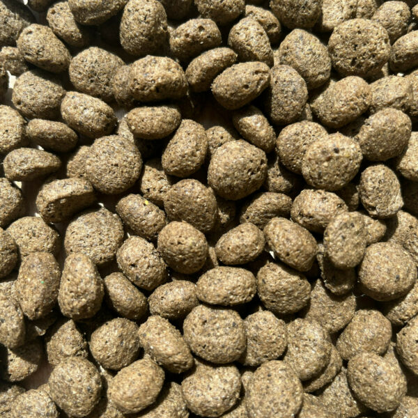 a photo of Grain-Free Salmon & Potato dog food
