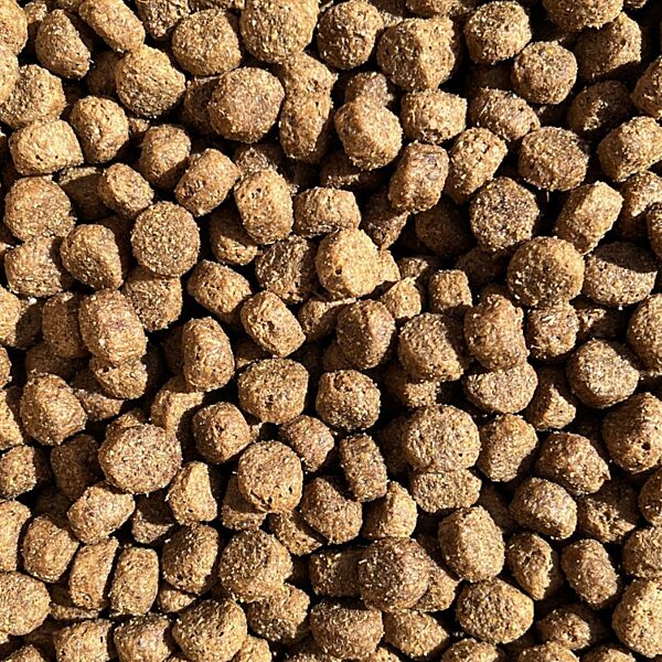 a photo of Sensitive Maintenance dog food