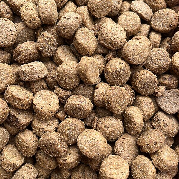 a photo of Sporting Performance dog food