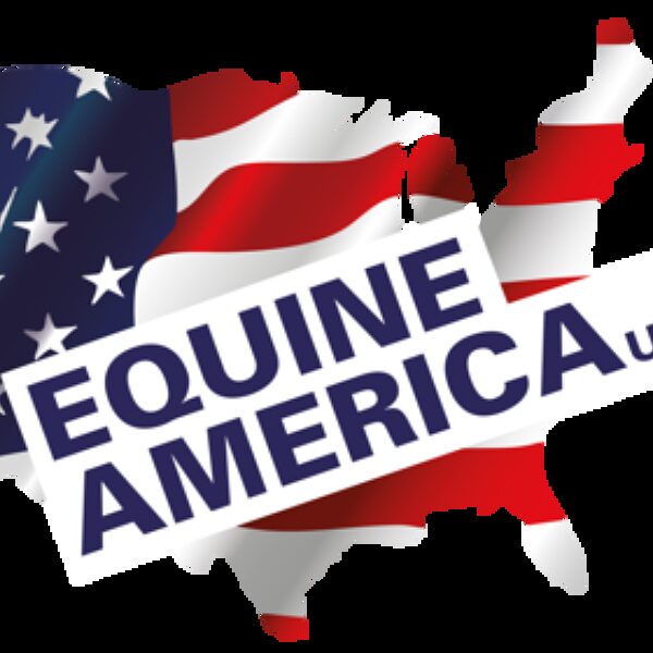 a photo of Equine America Products supplement