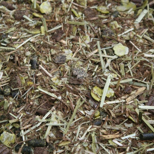 a picture of Chestnut Peak Condition horse feed