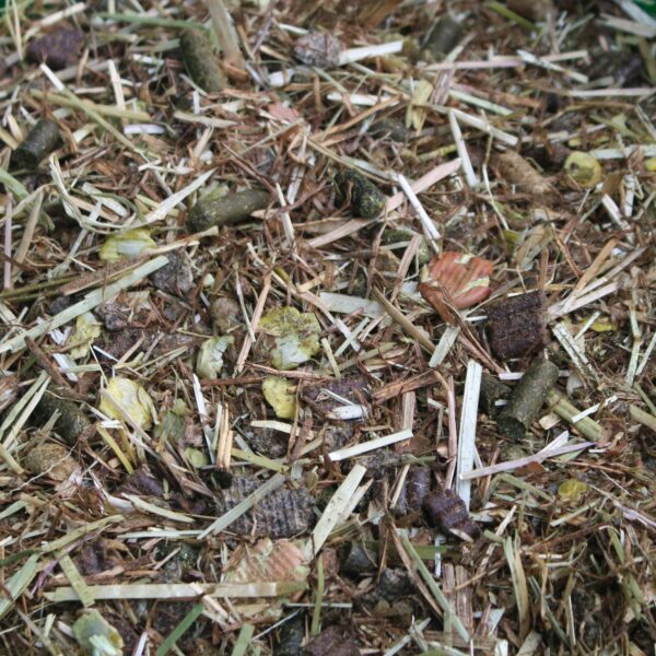 a picture of Chestnut Sensitive Performance horse feed