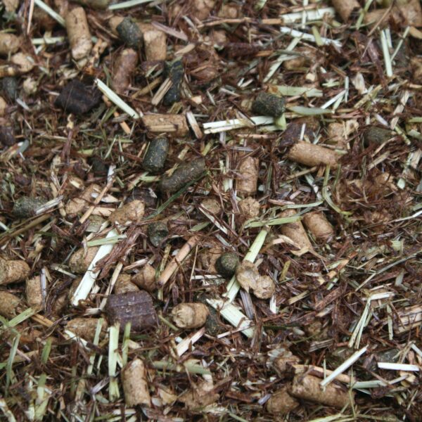 a picture of Chestnut Daily Maintenance horse feed