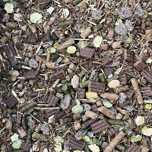 a picture of Chestnut Everyday Essential Balancer horse feed