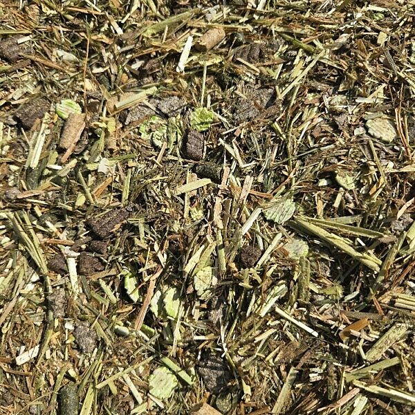 a picture of Chestnut Everyday Essential Balancer horse feed