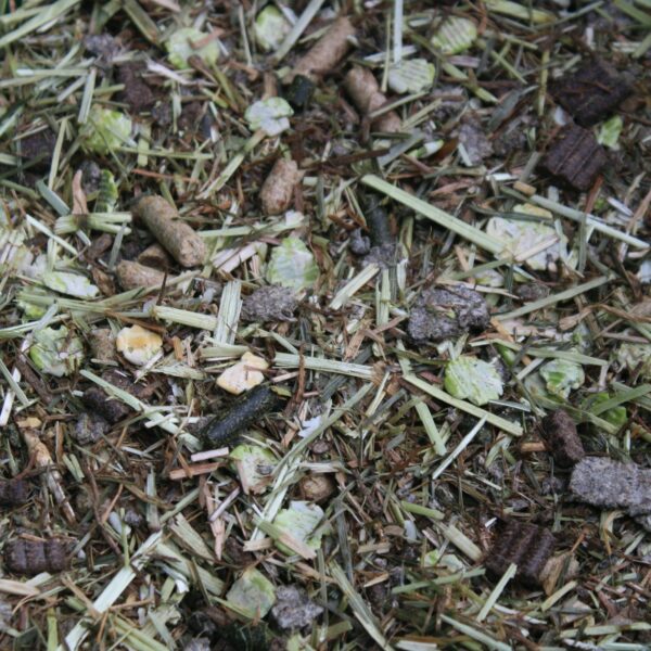 a picture of Chestnut Everyday Essential Balancer horse feed