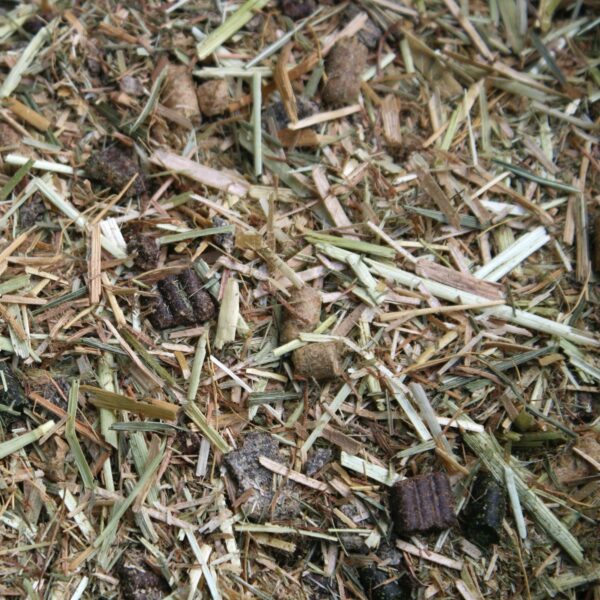 a picture of Chestnut Lite Balancer horse feed