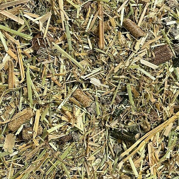 a picture of Chestnut Lite Balancer horse feed