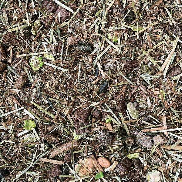 a picture of Chestnut Sensitive Performance horse feed