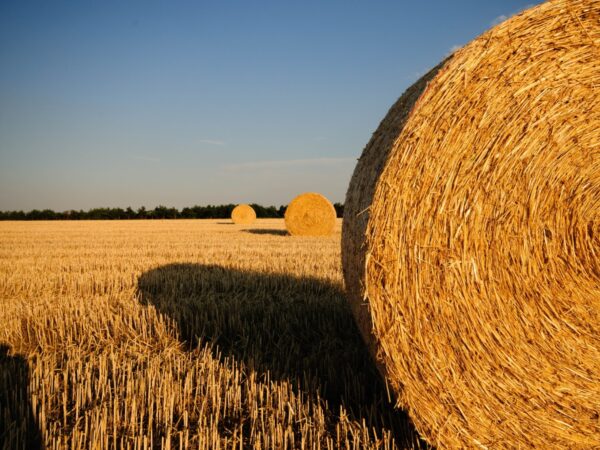 A photo representing Richstone Park's Pensions & Retirement Planning services