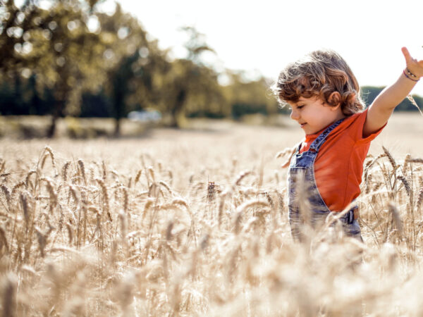 Protection child in corn field