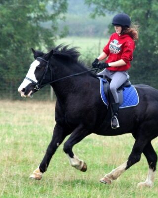 A photo representing the Animal Care course from Uneek Learning's curriculum